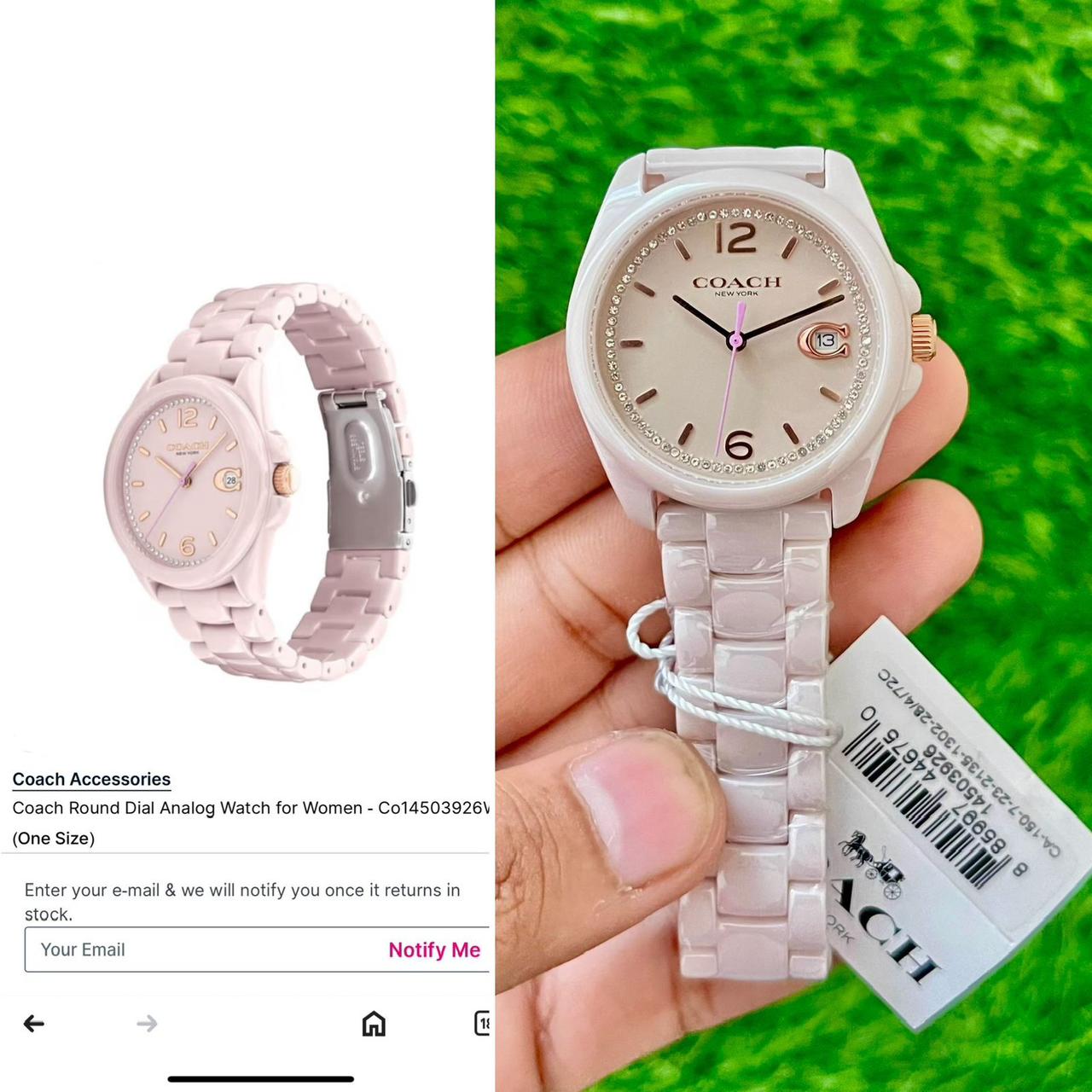 Coach Watch (Co14503926W)